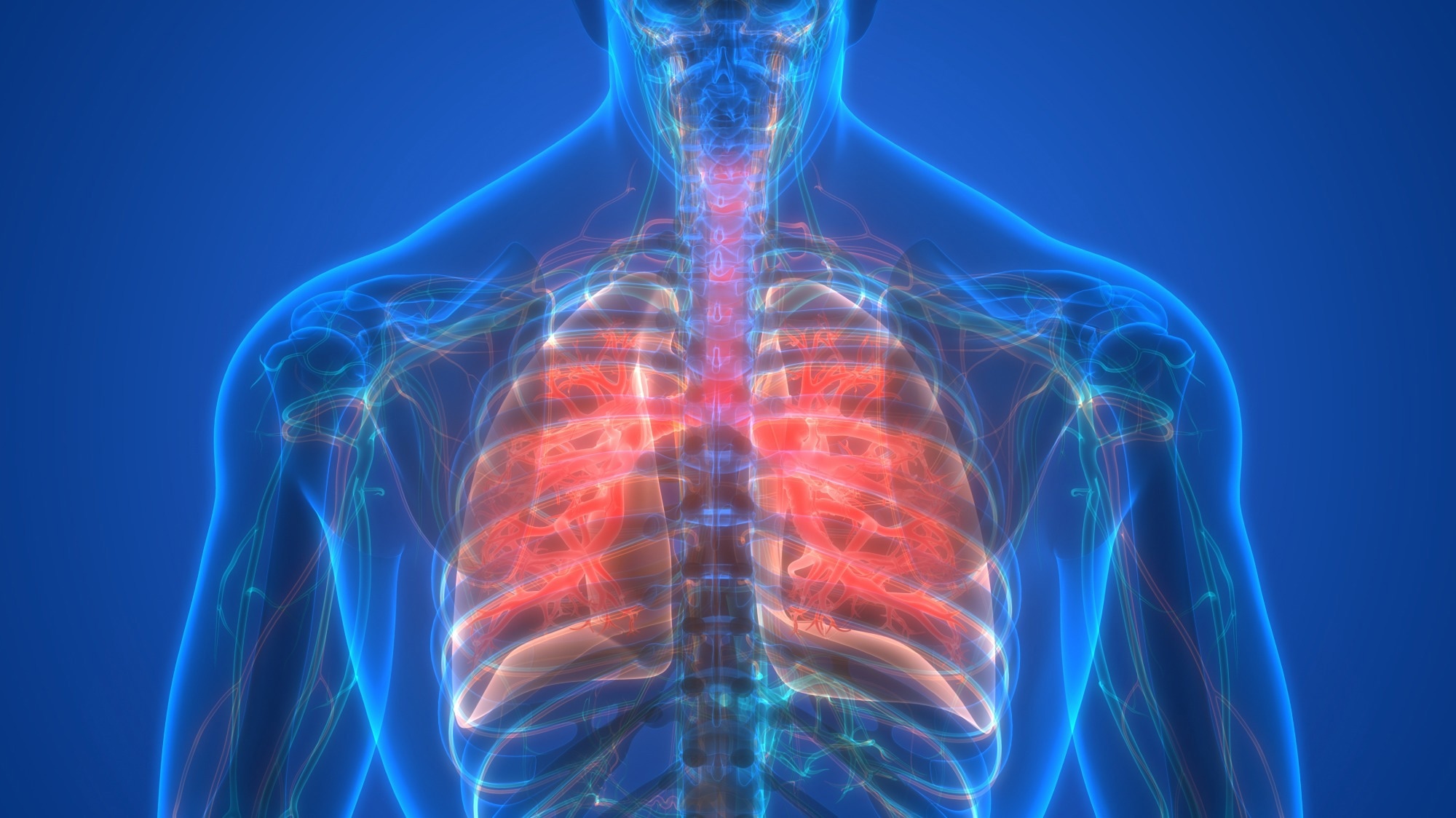 Study: Low Gut Microbial Diversity Augments Estrogen-Driven Pulmonary Fibrosis in Female-Predominant Interstitial Lung Disease. Image Credit: Magic mine/Shutterstock