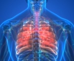Study reveals synergistic impact of estrogen and intestinal dysbiosis on pulmonary fibrosis