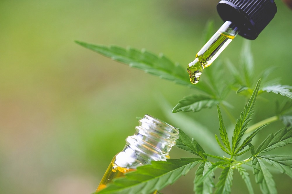 Study: The Effects of Cannabidiol on the Driving Performance of Healthy Adults: A Pilot RCT. Image Credit: Tinnakorn jorruang/Shutterstock