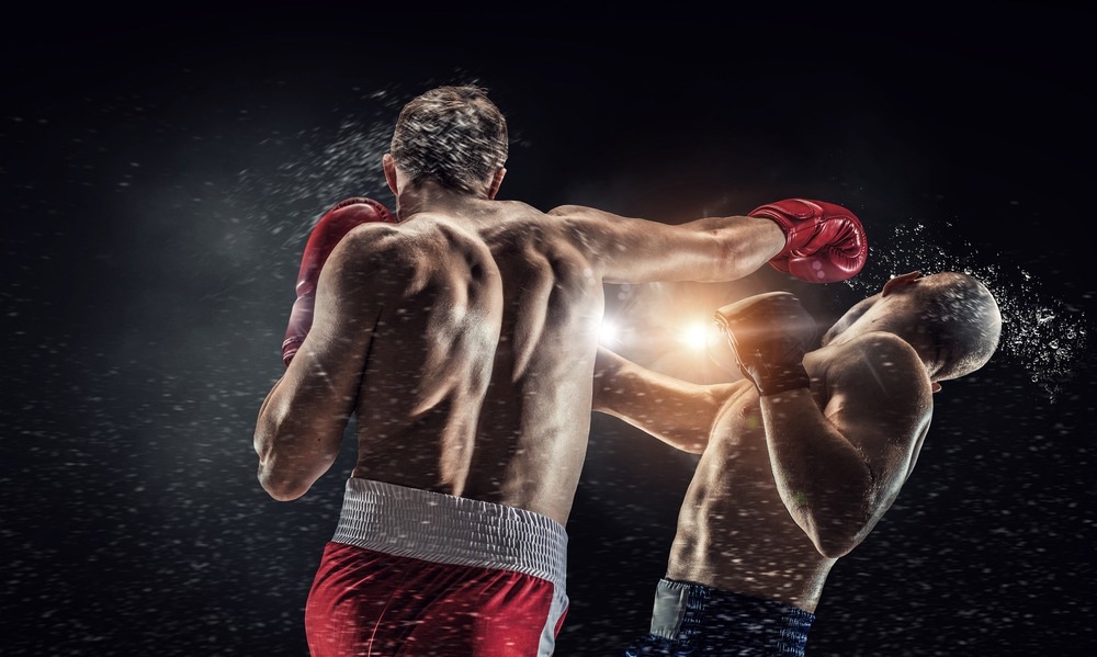 Study: To see is to experience: Aggression neurons light up when witnessing a fight. Image Credit: Sergey Nivens / Shutterstock.com