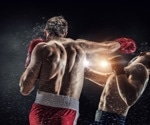 Aggression neurons activate while watching fights