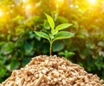 Is green leaf biomass a viable and sustainable source of protein?