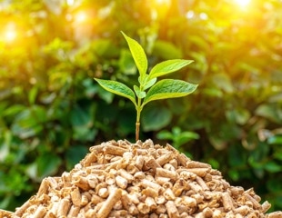 Is green leaf biomass a viable and sustainable source of protein?