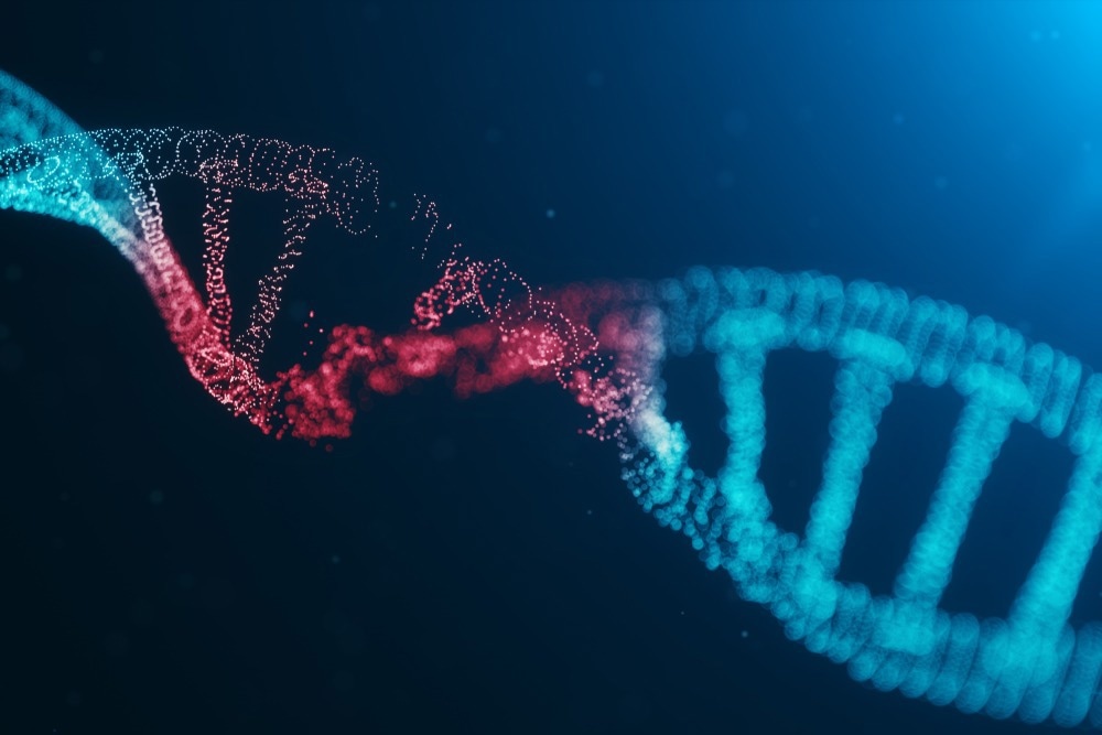 Study: SARS-CoV-2 infection induces DNA damage, through CHK1 degradation and impaired 53BP1 recruitment, and cellular senescence. Image Credit: Rost9/Shutterstock