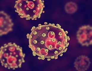 Lassa virus vaccine induces rapid protection in an animal model