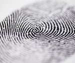 How do fingerprints develop?