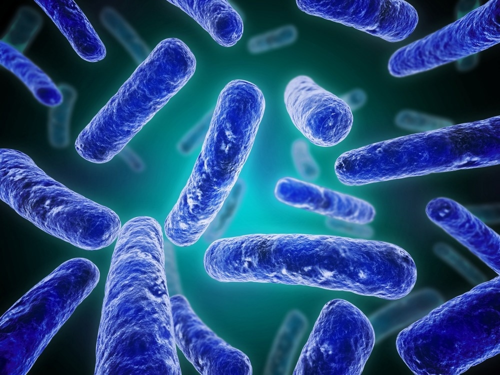 Study: Microbial-Based Approach to Mental Health: The Potential of Probiotics in the Treatment of Depression. Image Credit: SciePro / Shutterstock.com