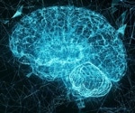 Combining AI and neuroscience to detect and predict neurological disorders