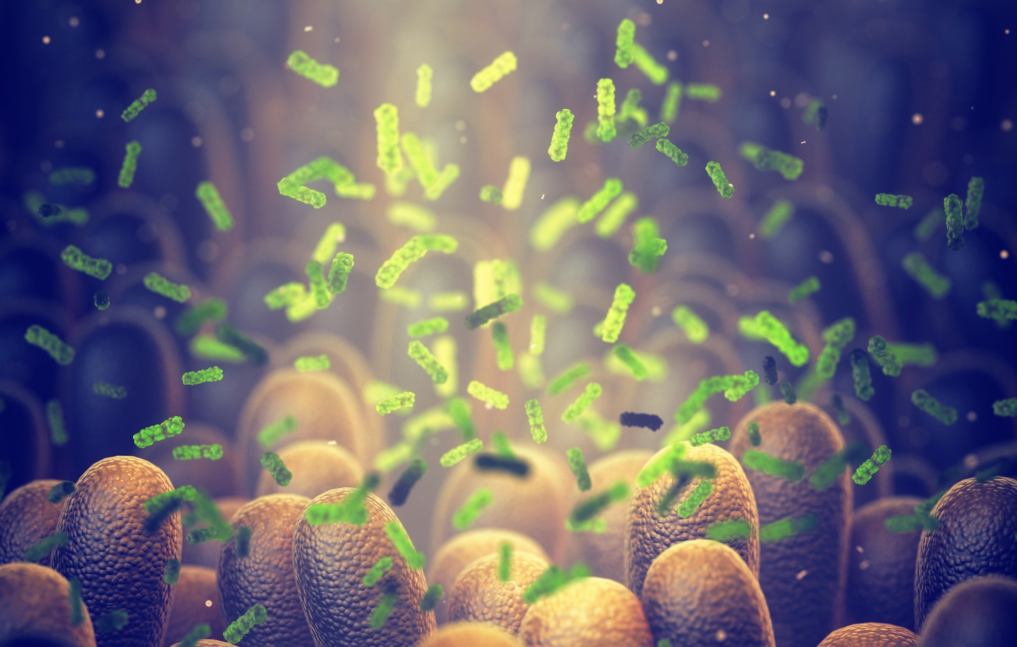 مطالعه: دیس بیوز متاسیستم میکروبیوتای ایمنی در بیماری های بحرانی با عفونت های بیمارستانی همراه است.  اعتبار تصویر: nobeastsofierce / Shutterstock