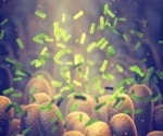 Study implicates gut microbiome and immune response in hospital-acquired infections