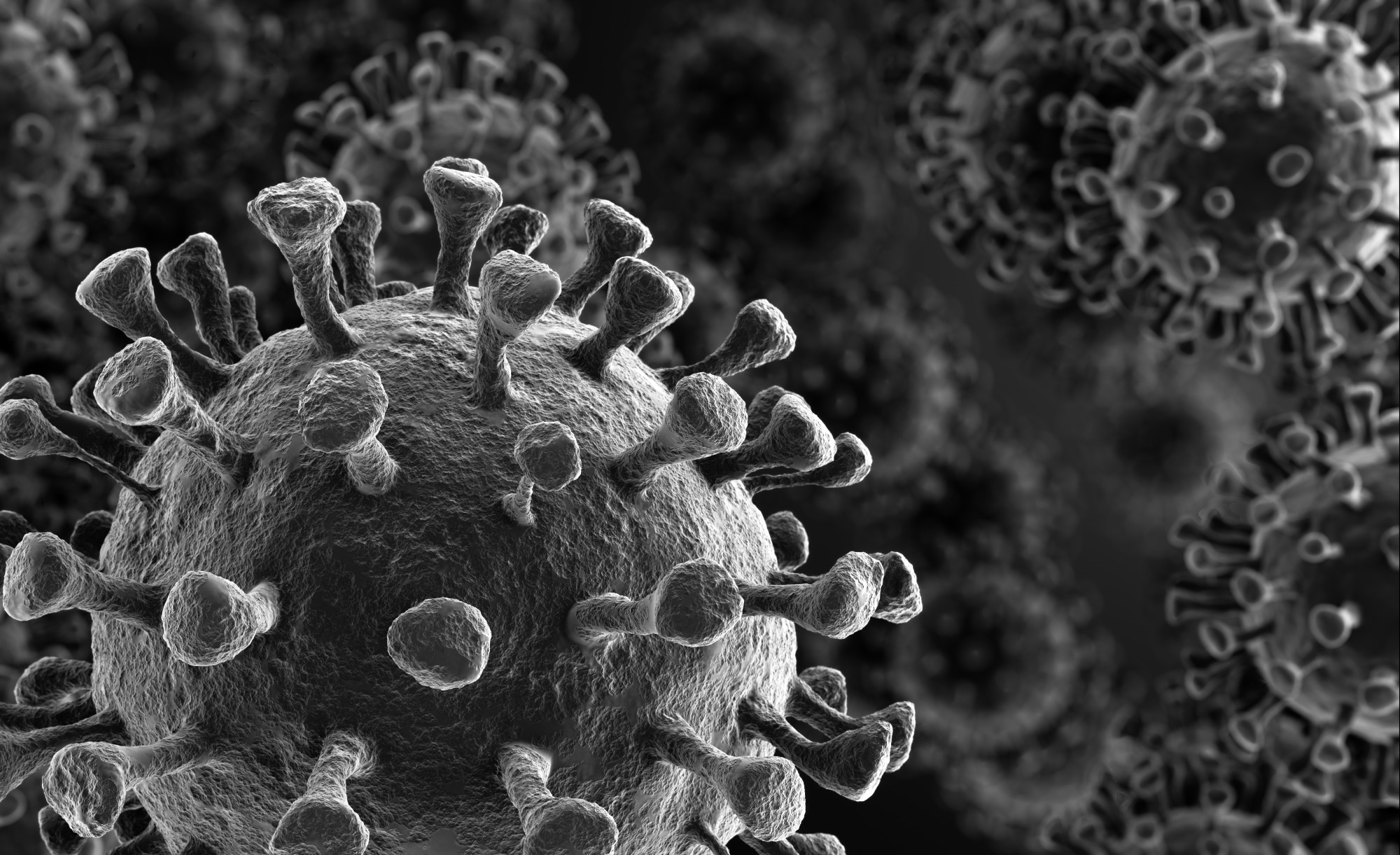 Study: An ancient coronavirus from individuals in France, circa 16th century. Image Credit: creativeneko / Shutterstock