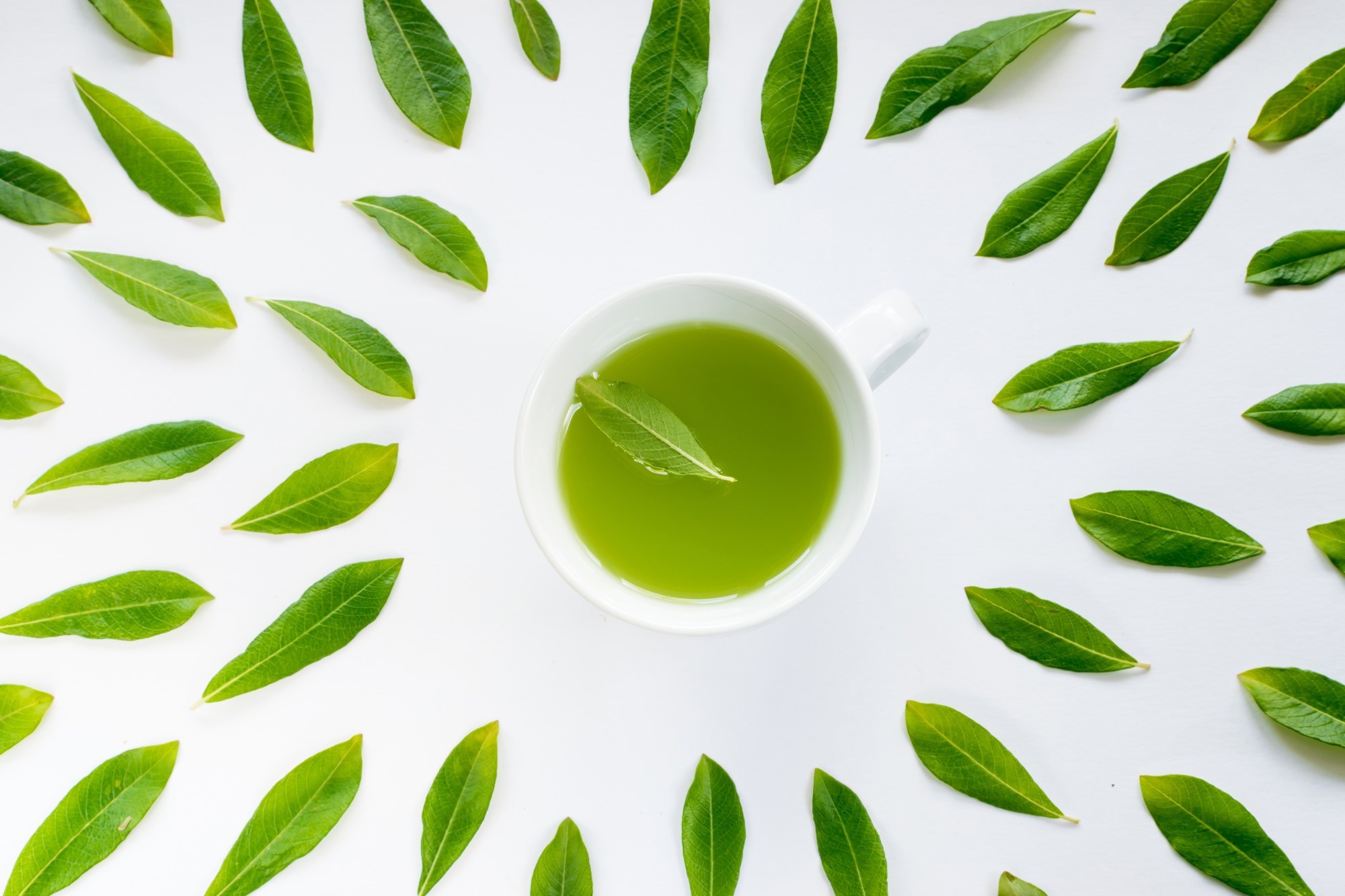 Review: Green Tea and Benign Gynecologic Disorders: A New Trick for An Old Beverage? Image Credit: Ermak Oksana / Shutterstock