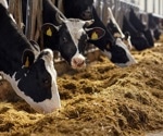 International trade of colistin in animal feed continues unabated