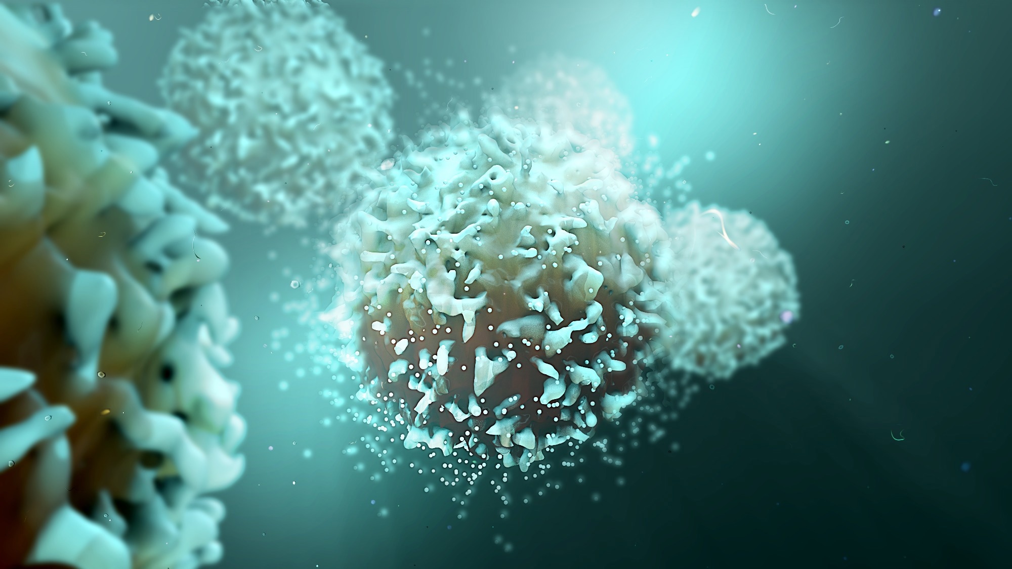 Study: Robust T cell responses to Pfizer/BioNTech vaccine compared to infection and evidence of attenuated peripheral CD8+ T cell responses due to COVID-19. Image Credit: Design_Cells / Shutterstock