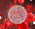 Candidate hepatitis C mRNA vaccine induces protective immunity in animal model