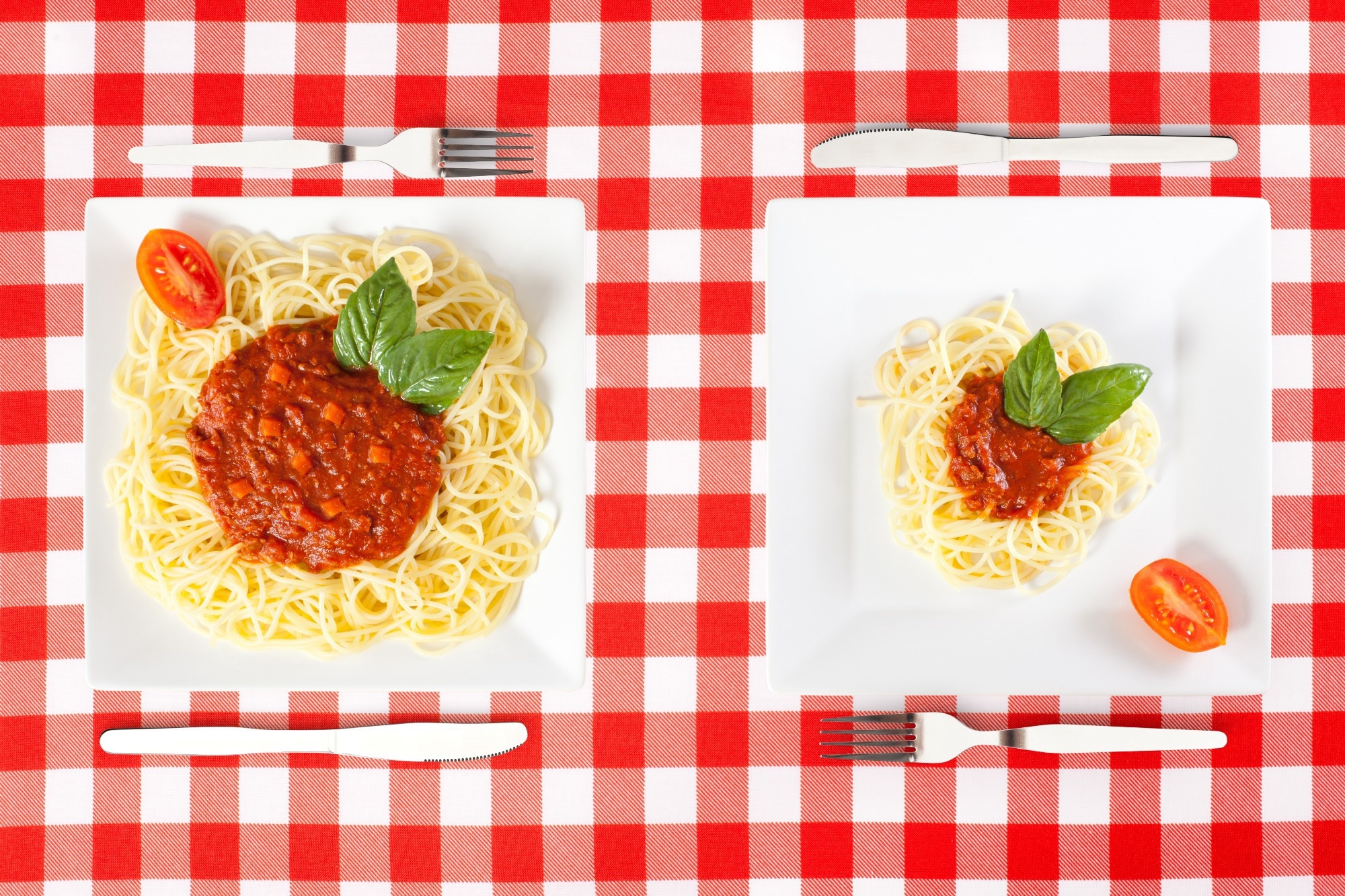Study: Role of Portion Size in the Context of a Healthy, Balanced Diet: A Case Study of European Countries. Image Credit: Jose Luis Stephens / Shutterstock