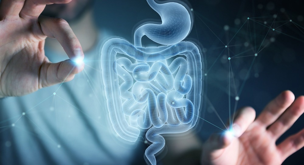 Study: Physical activity-induced alterations of the gut microbiota are BMI dependent. Image Credit: sdecoret / Shutterstock.com
