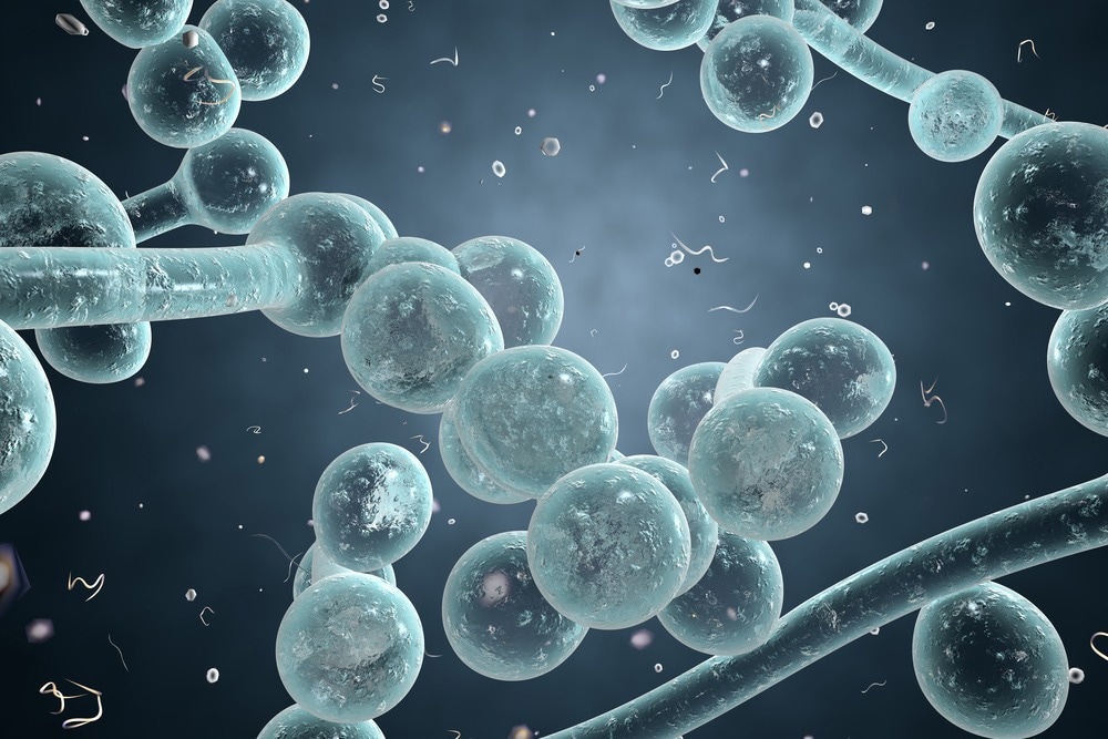 Study: Recognition of fungal priority pathogens: What next? Image Credit: Kateryna Kon/Shutterstock.com