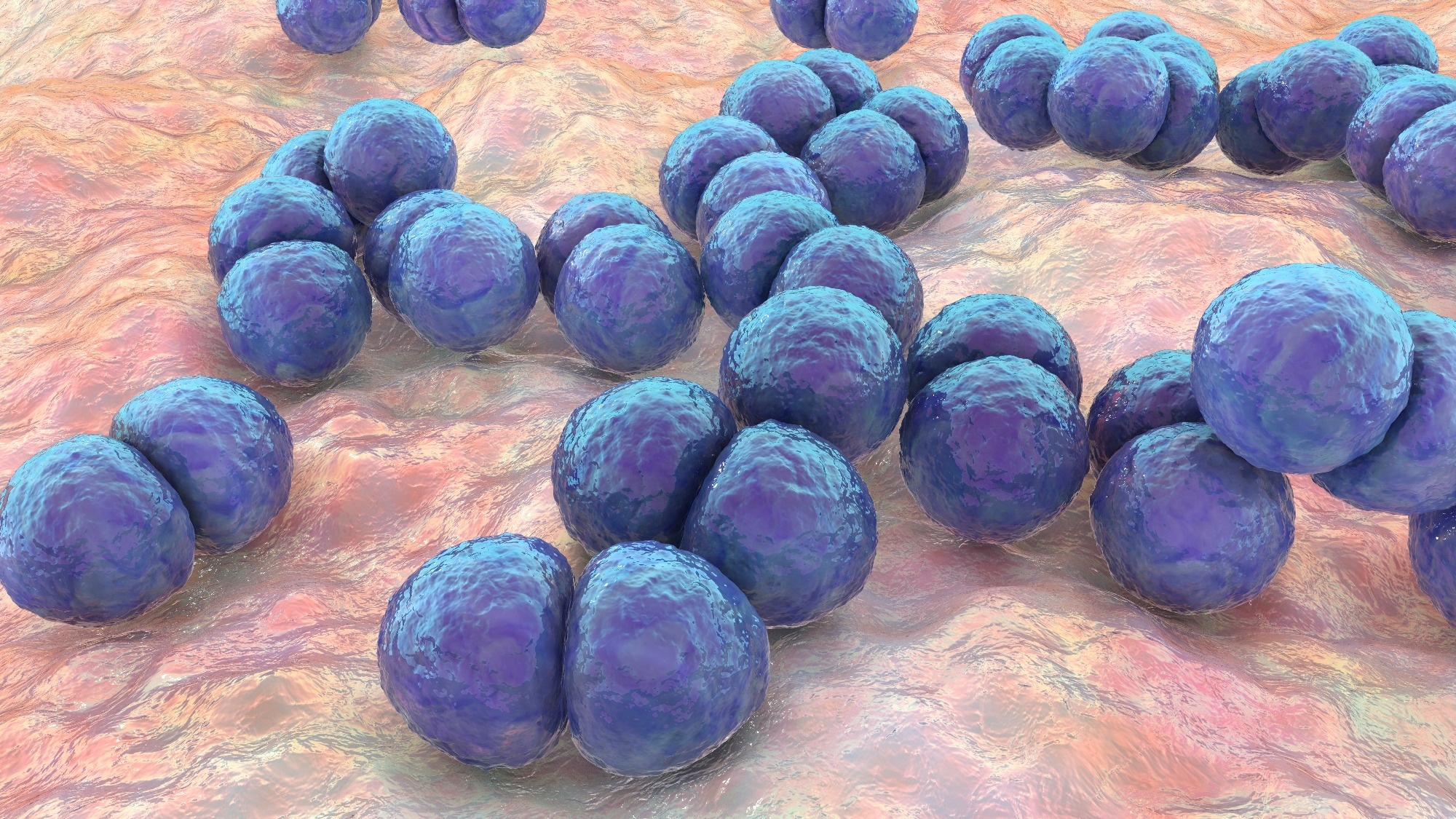 Pneumolysin as a target for new therapies against pneumococcal infections: A systematic review. Image Credit: Kateryna Kon / Shutterstock