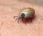 Study details bacterial agents in 418 ticks extracted from humans in France