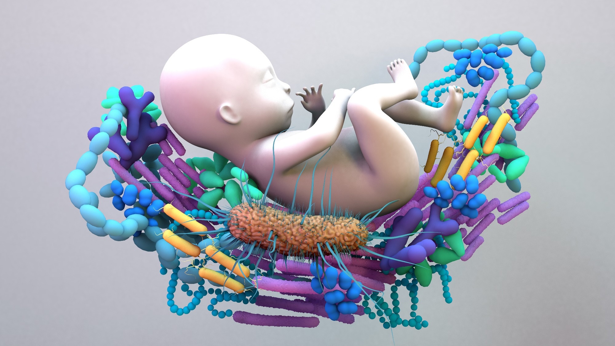 Étude : Le microbiome intestinal prédit les maladies atopiques dans une cohorte de nourrissons avec une exposition bactérienne réduite en raison de la distanciation sociale.  Crédit d'image : Design_Cells / Shutterstock