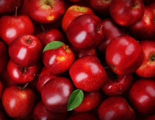 An apple a day keeps the doctor away: polyphenol-enriched apples alter immune cell gene expression and fecal microbiota composition
