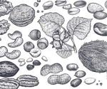 A collection of papers on nuts presented at NUTS 2022