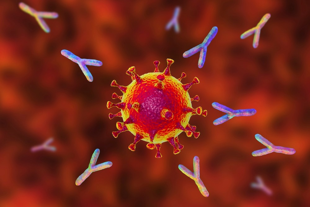 Study: Deep repertoire mining uncovers ultra-broad coronavirus neutralizing antibodies targeting multiple spike epitopes. Image Credit: KaterynaKon/Shutterstock.com