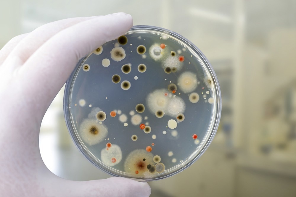 La “plastisfera” de los desechos plásticos podría albergar y propagar patógenos eucariotas
