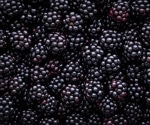 What makes blackberries a superfood?