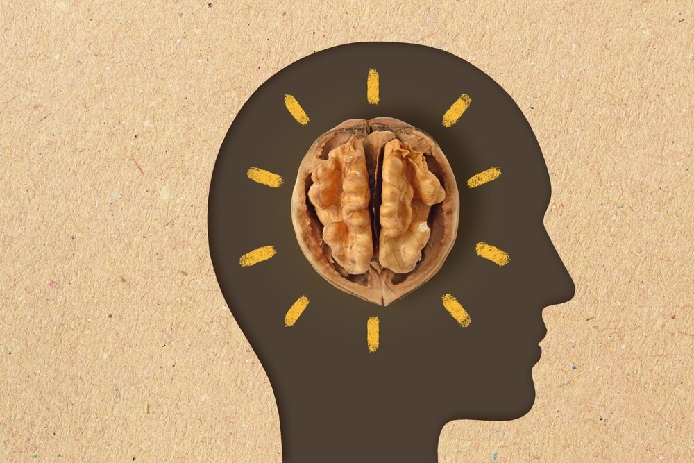 Study: Effect of walnut consumption on neuropsychological development in healthy adolescents: a multi-school randomized controlled trial. Image Credit: CalypsoArt/Shutterstock.com