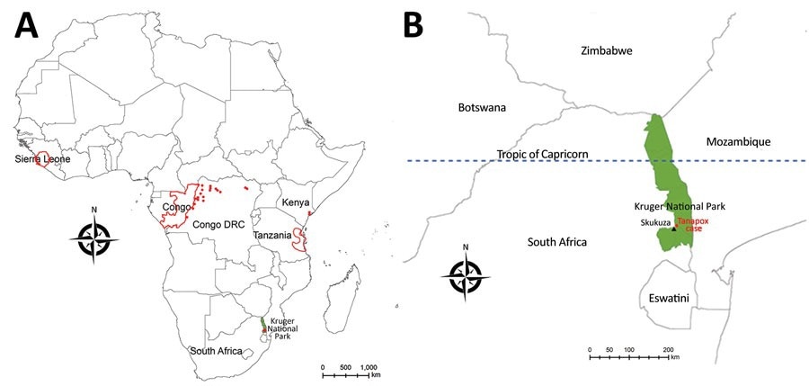 Geographic distribution of recorded human cases of tanapox. A) Locations of previous tanapox cases reported in the literature. Red dots indicate cases acquired locally; red outlines indicate regions of countries visited by travelers to Africa. B) Location of the case acquired in Kruger National Park, South Africa, 2022. Green shading shows the park’s location; black triangle indicates town of Skukuza.