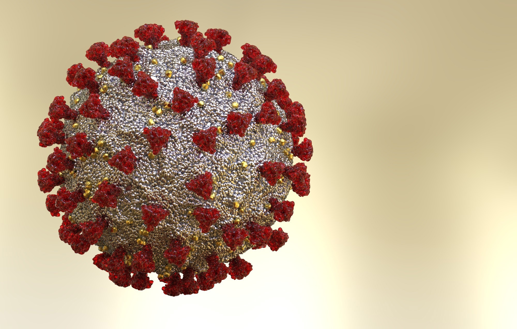 Study: Virological characteristics of the SARS-CoV-2 Omicron XBB.1.16 variant. Image Credit: Limbitech / Shutterstock.com