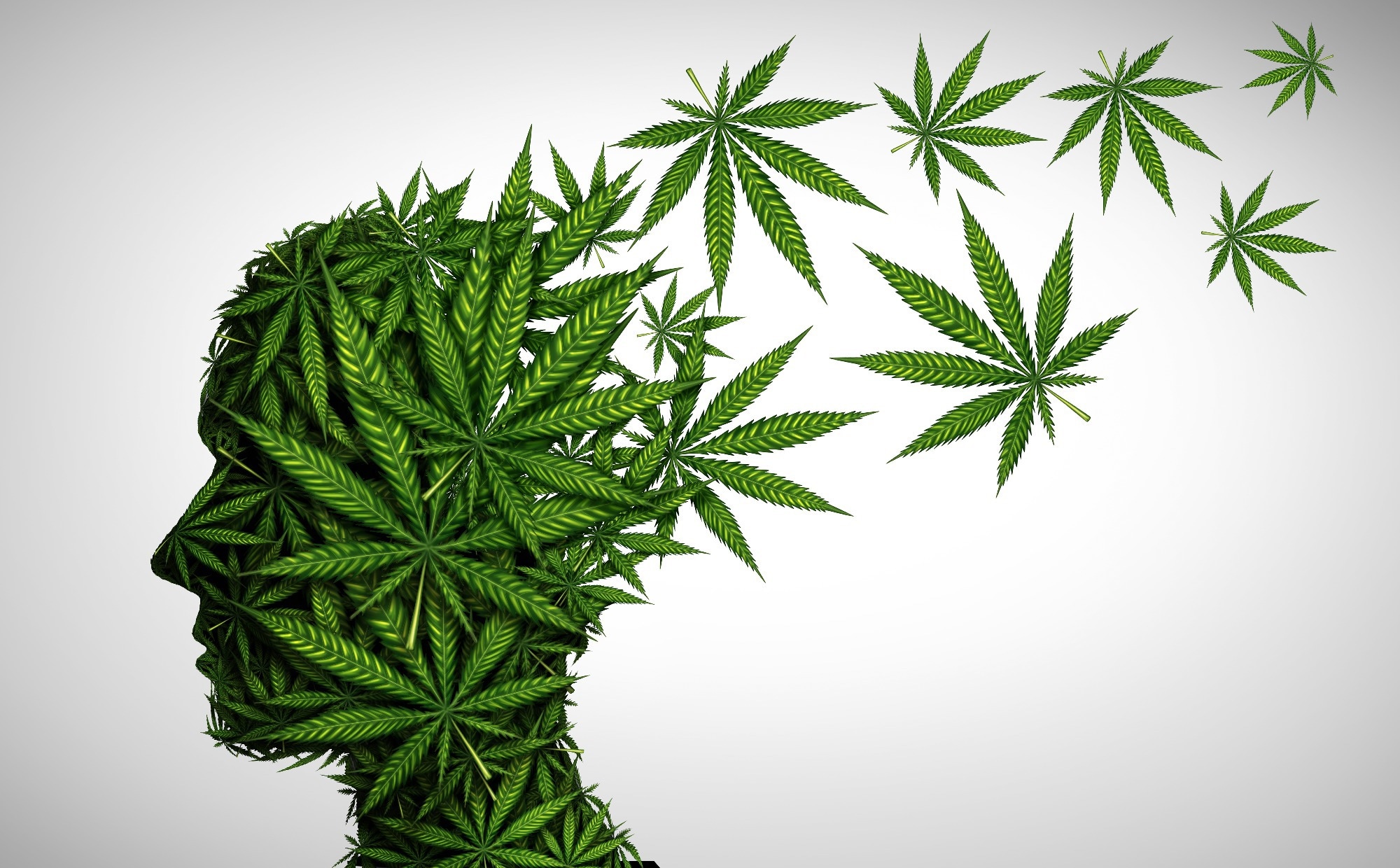 Study: Altered brain structural and functional connectivity in cannabis users. Image Credit: Lightspring / Shutterstock