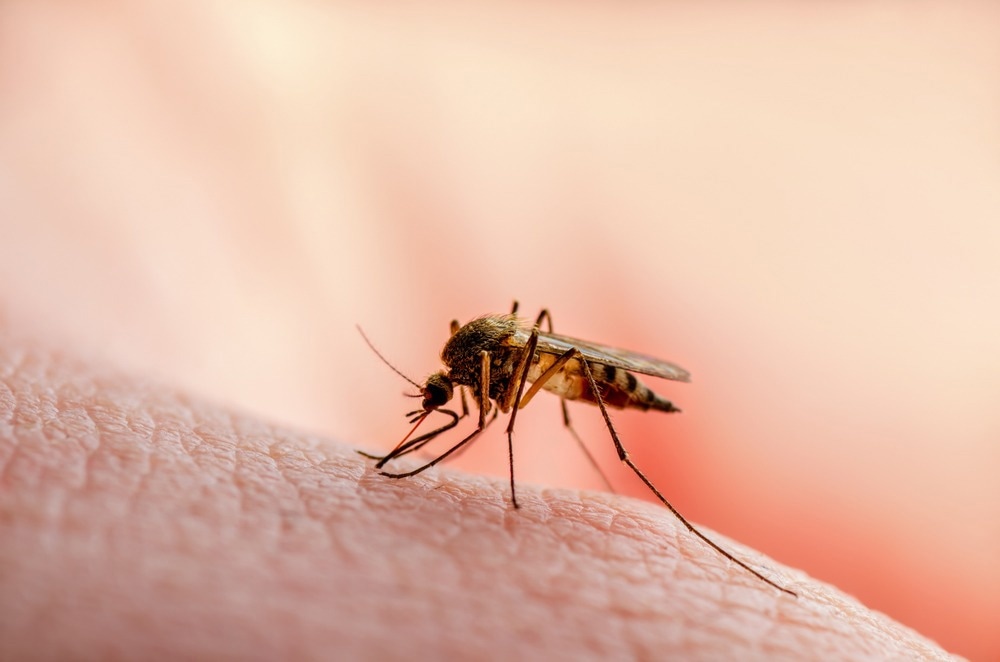 Cellulose nanocrystals as a barrier against mosquito bites