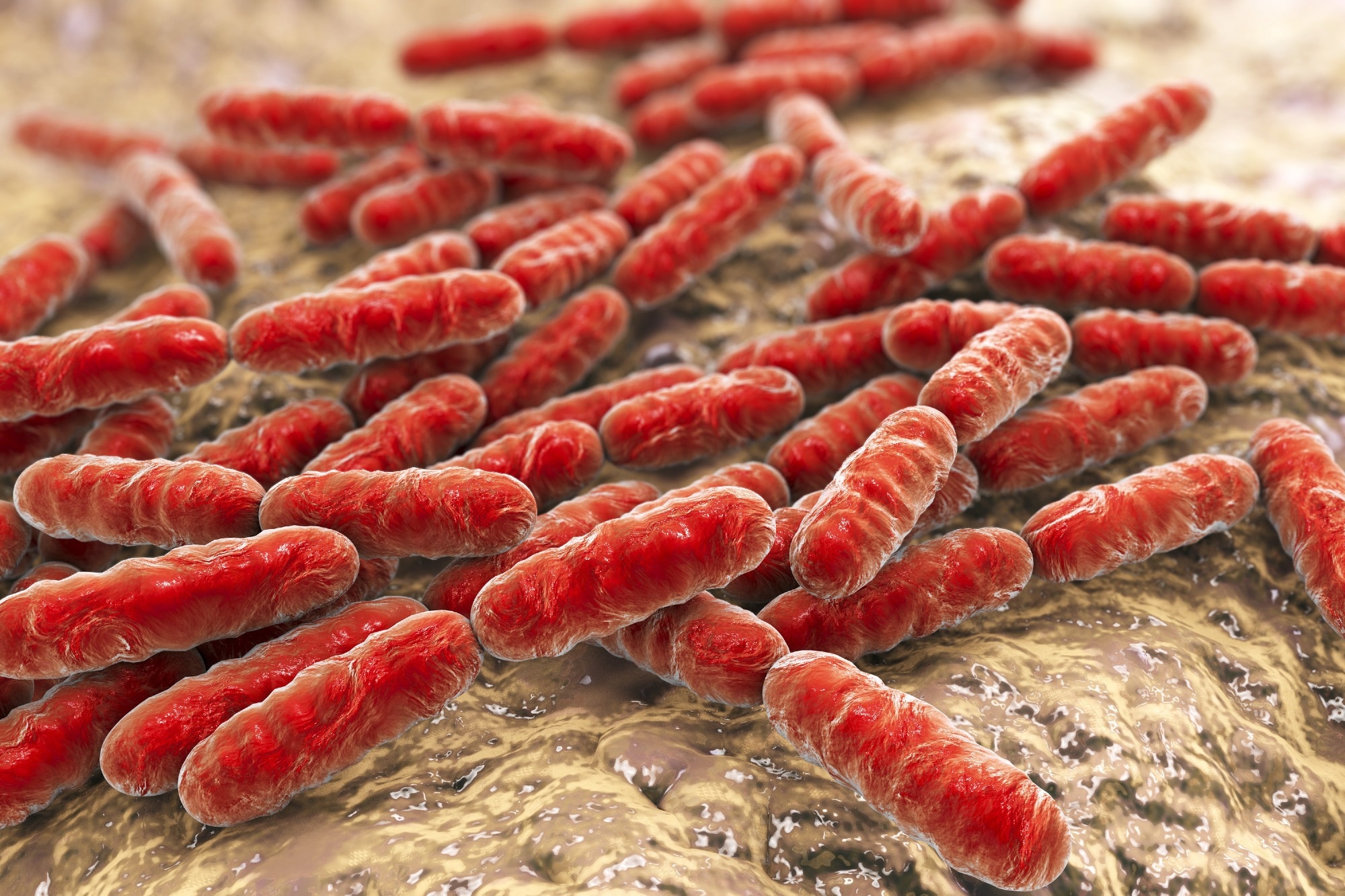 Study: Lactobacillus Probiotics Improve Vaginal Dysbiosis in Asymptomatic Women. Image Credit: Kateryna Kon / Shutterstock