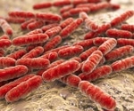 Lactobacillus probiotics improve vaginal health in asymptomatic women