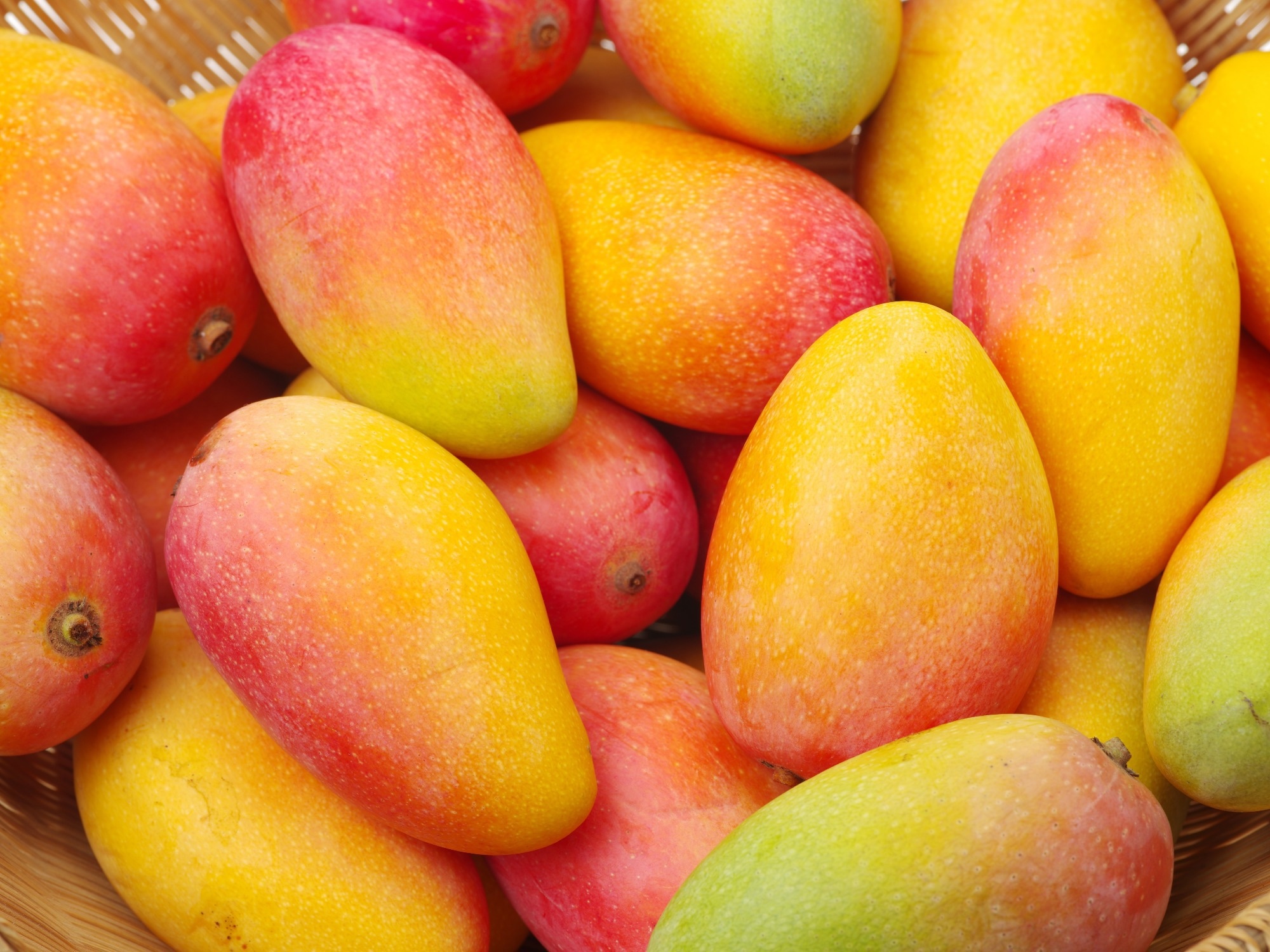 Study: The effects of fresh mango consumption on gut health and microbiome – Randomized controlled trial. Image Credit: JIANG HONGYAN / Shutterstock