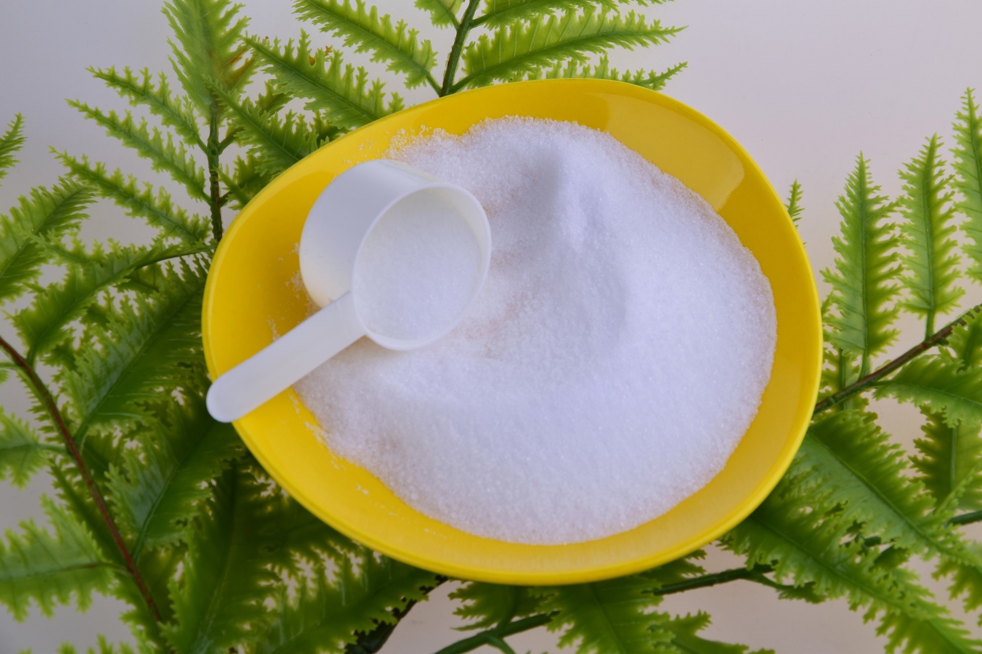 Review: Effect of Non-Nutritive Sweeteners on the Gut Microbiota. Image Credit: cruspan / Shutterstock