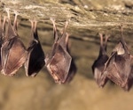 Unravelling the factors influencing host tropism of SARS-CoV-2-related bat coronaviruses