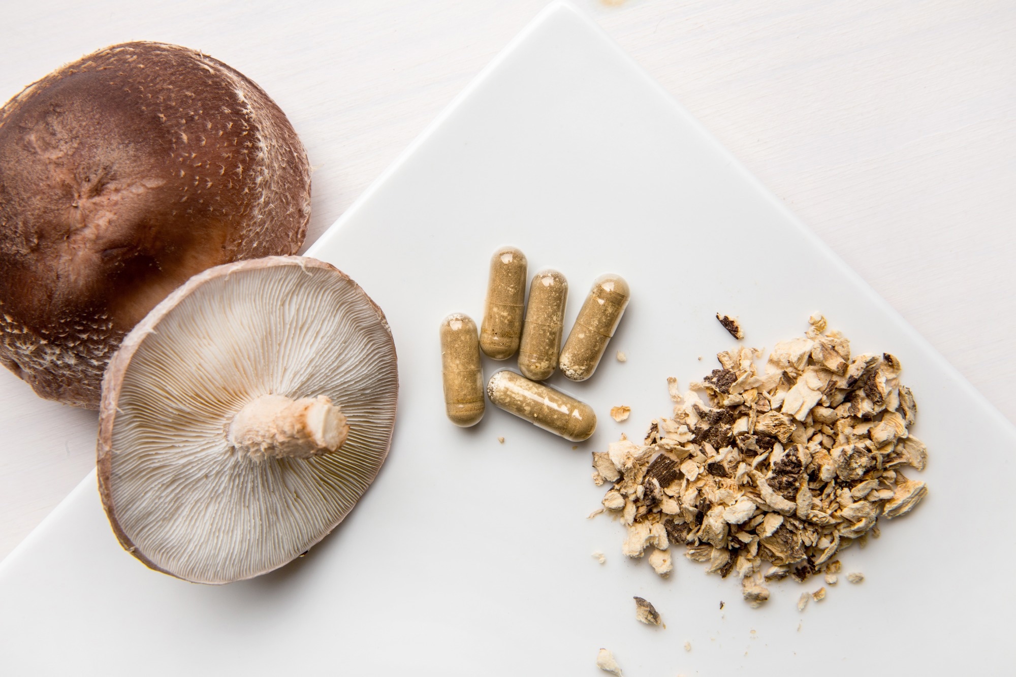Study: Antioxidant Compounds from Edible Mushrooms as Potential Candidates for Treating Age-Related Neurodegenerative Diseases. Image Credit: FotoHelin/Shutterstock.com