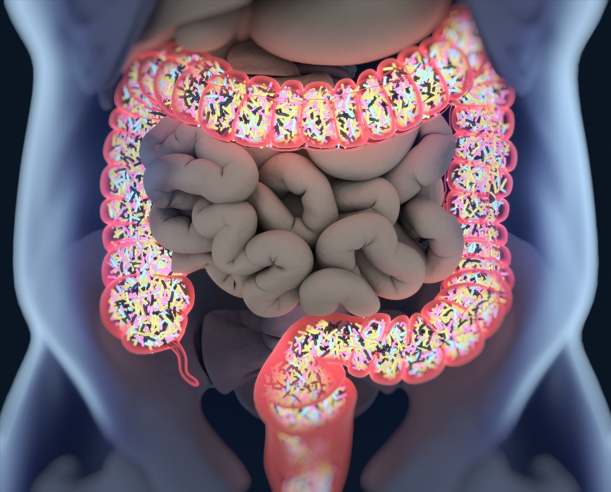 Étude : L'effet d'un régime de santé planétaire sur le microbiome intestinal humain : une analyse descriptive.  Crédit d'image : AnatomyImage/Shutterstock.com