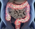 Study indicates that the planetary health diet increases probiotic-associated bacteria in the gut microbiome