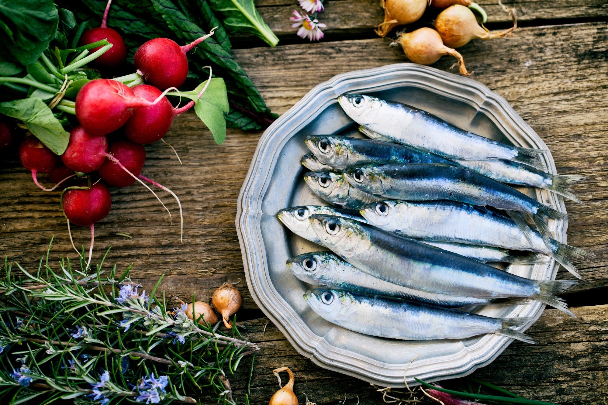 Study: Eating more sardines instead of fish oil supplementation: Beyond omega-3 polyunsaturated fatty acids, a matrix of nutrients with cardiovascular benefits. Image Credit: mythja/Shutterstock.com