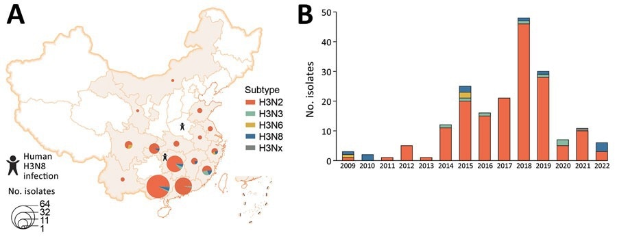 Spatial and temporal distribution of avian influenza virus subtype H3 isolated from poultry-associated environments, China, 2009–2022. A) Spatial distribution of environmental H3 subtype viruses. One H3 isolate without neuraminidase (NA) subtype was designated as H3Nx. Provinces where human infections with H3N8 were reported are noted. B) Number of environmental H3 subtype isolates per year. This figure includes all H3 isolates sequenced by the Chinese National Influenza Center.