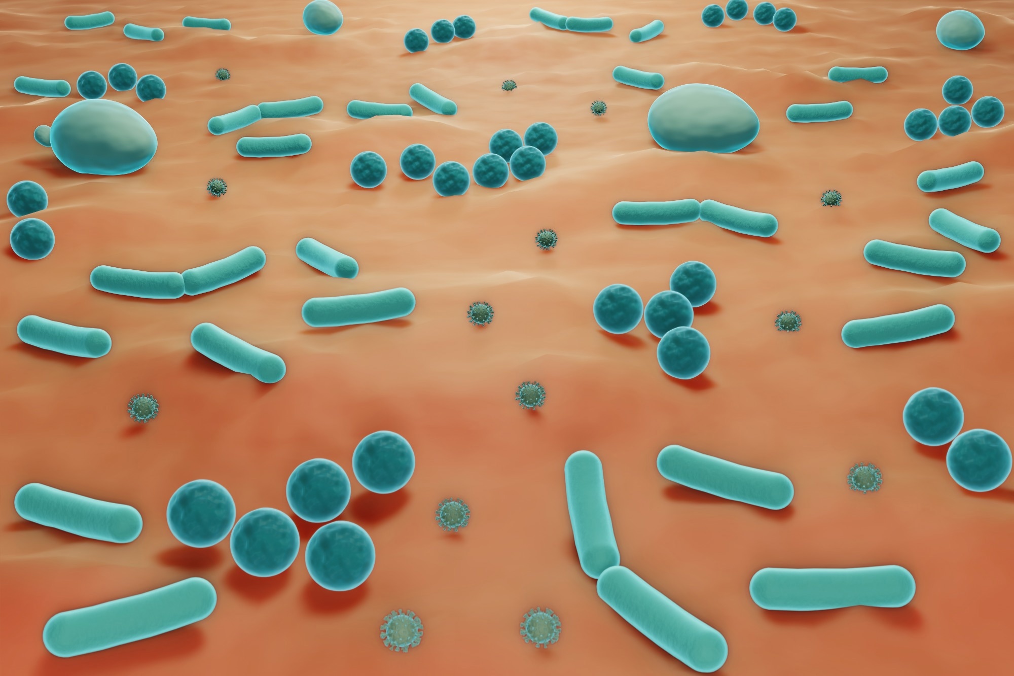 Study: Skin microbiome bacteria enriched following long sun exposure can reduce oxidative damage: a 5-month preliminary study of ten lifeguards. Image Credit: ART-ur/Shutterstock.com