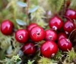Review confirms that cranberry products help prevent urinary tract infections