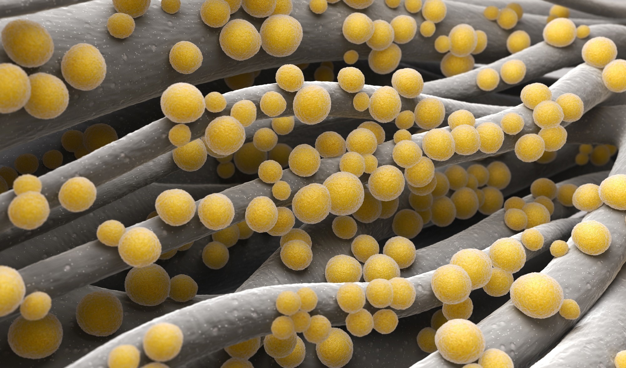 Study: Global burden of bacterial antimicrobial resistance in 2019: a systematic analysis. Image Credit: Tatiana Shepeleva / Shutterstock