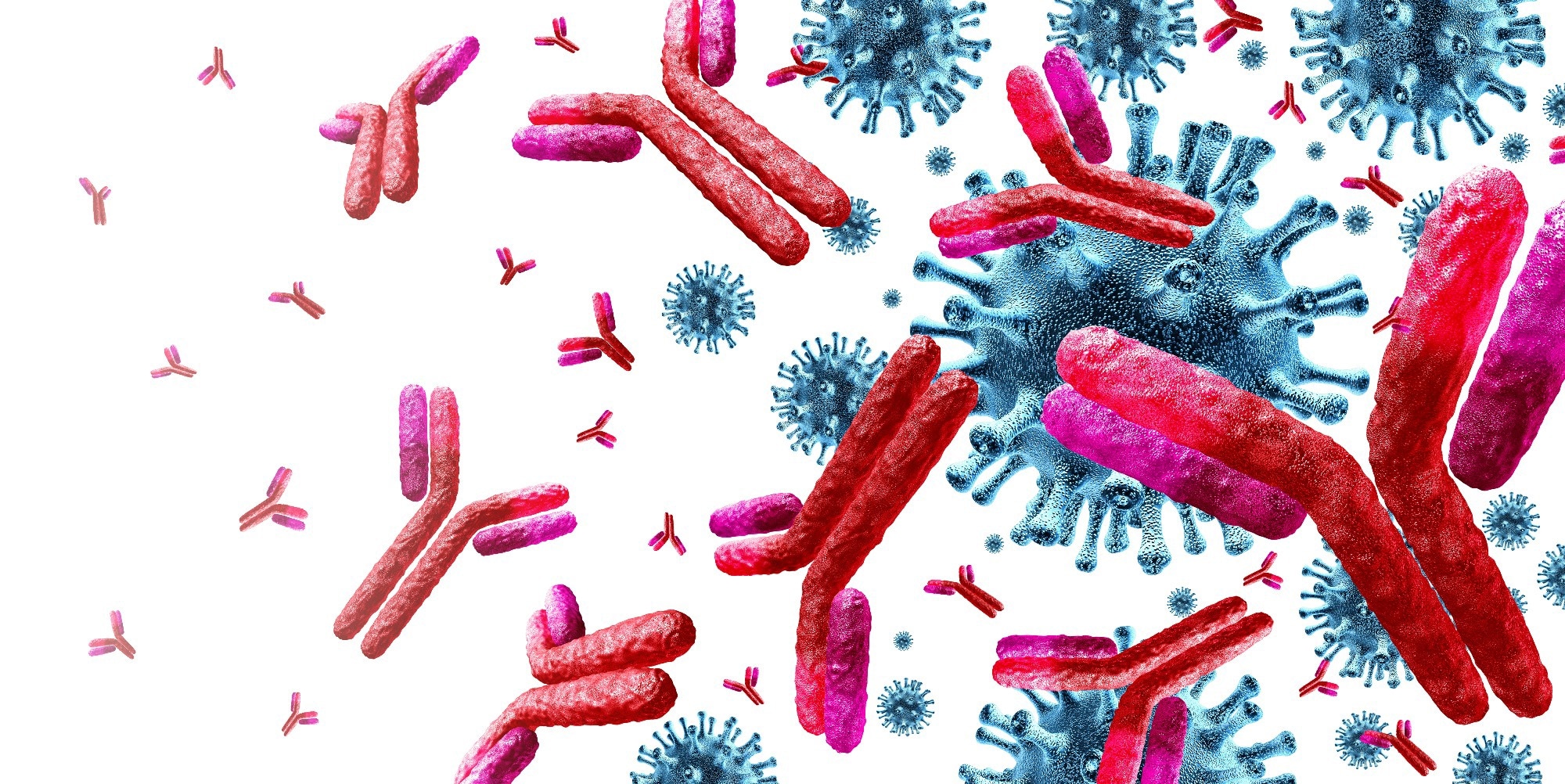 Primer: Immunological imprinting: Understanding COVID-19. Image Credit: Lightspring / Shutterstock