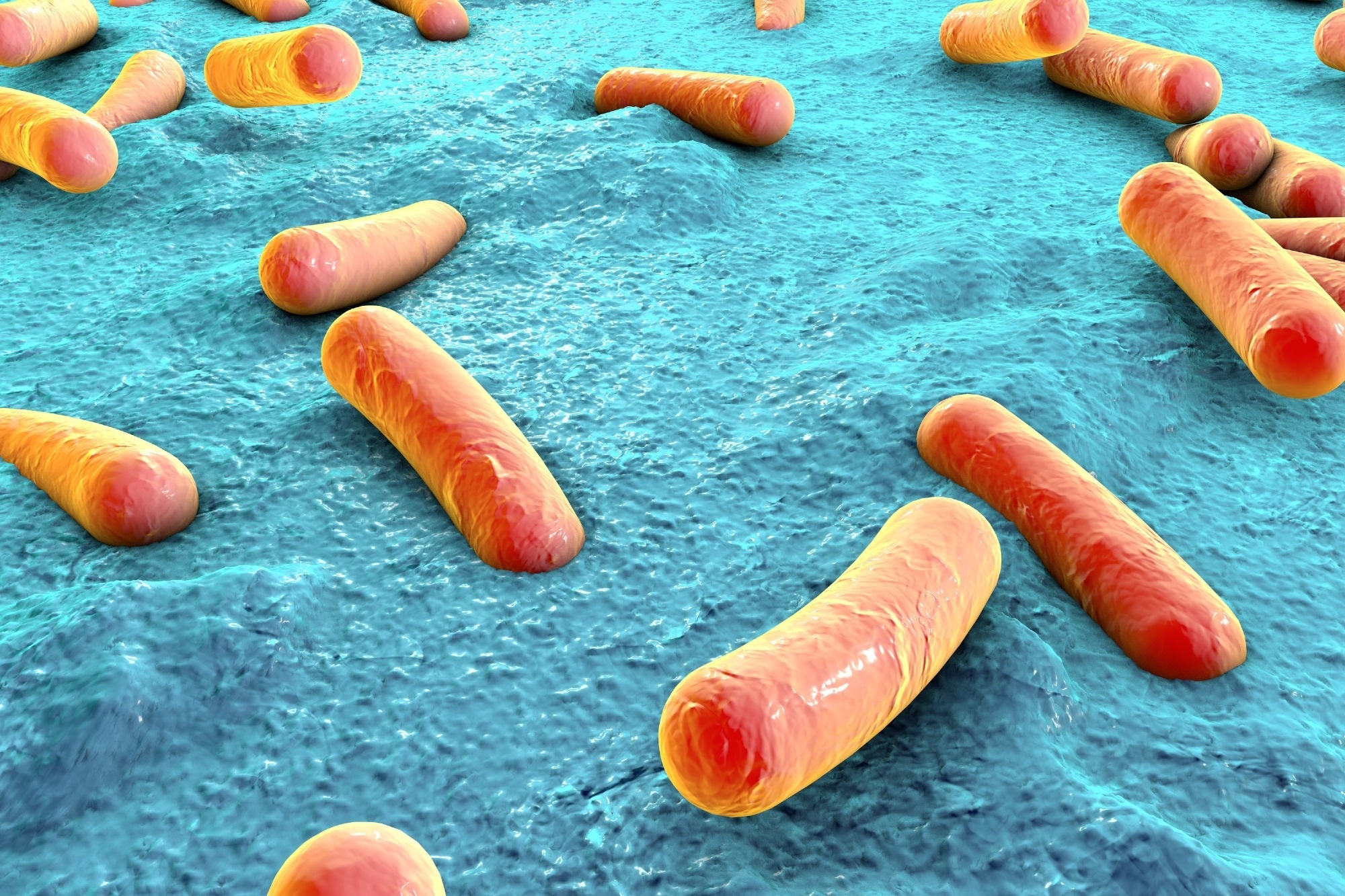 Study: Human microbiome transfer in the built environment differs based on occupants, objects, and buildings. Image Credit: Kateryna Kon / Shutterstock.com